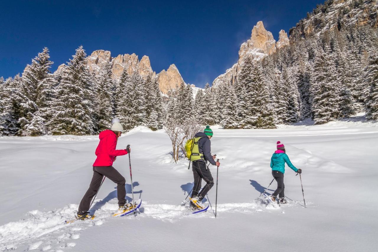 Hotel Ladinia Dolomites View Pozza di Fassa Eksteriør bilde